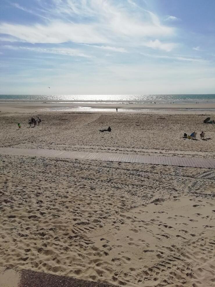 T3 Rez-De-Chaussee Lumineux Avec Terrasse Proche Plage Cucq Exterior foto